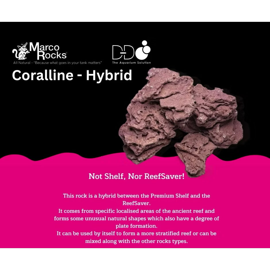 D-D Marco Rocks - Coralline (18kg/39lbs)