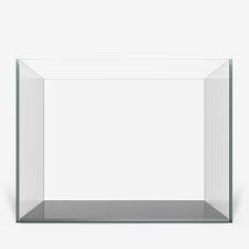 Waterbox Clear Gen2