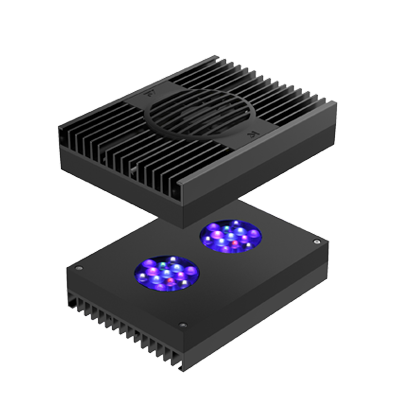 AI Hydra HD