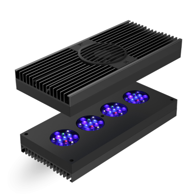 AI Hydra HD