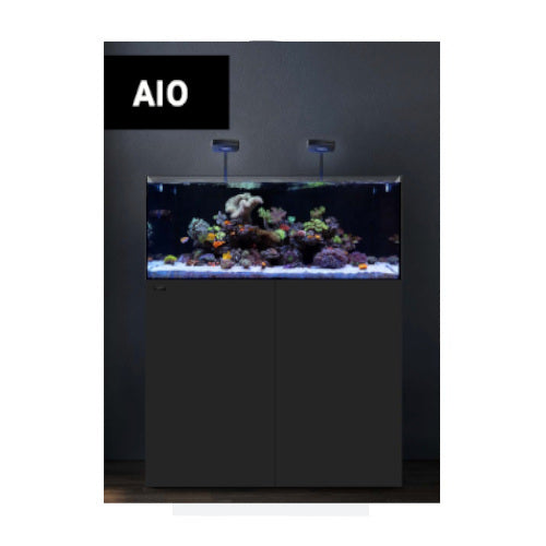 Aio aquarium 2025