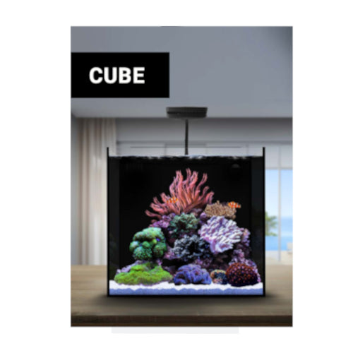 Waterbox Cube