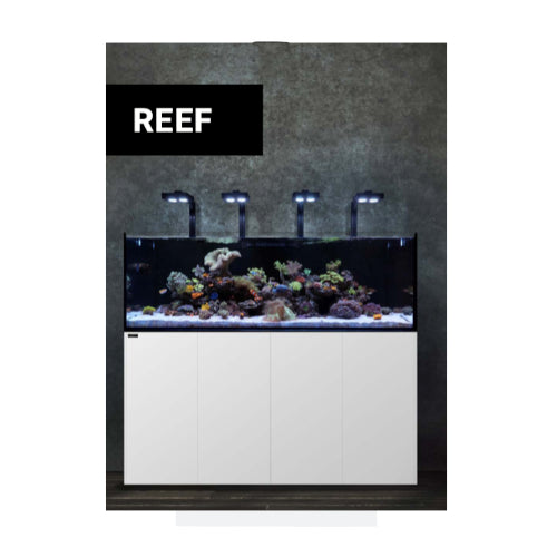 Waterbox Reef